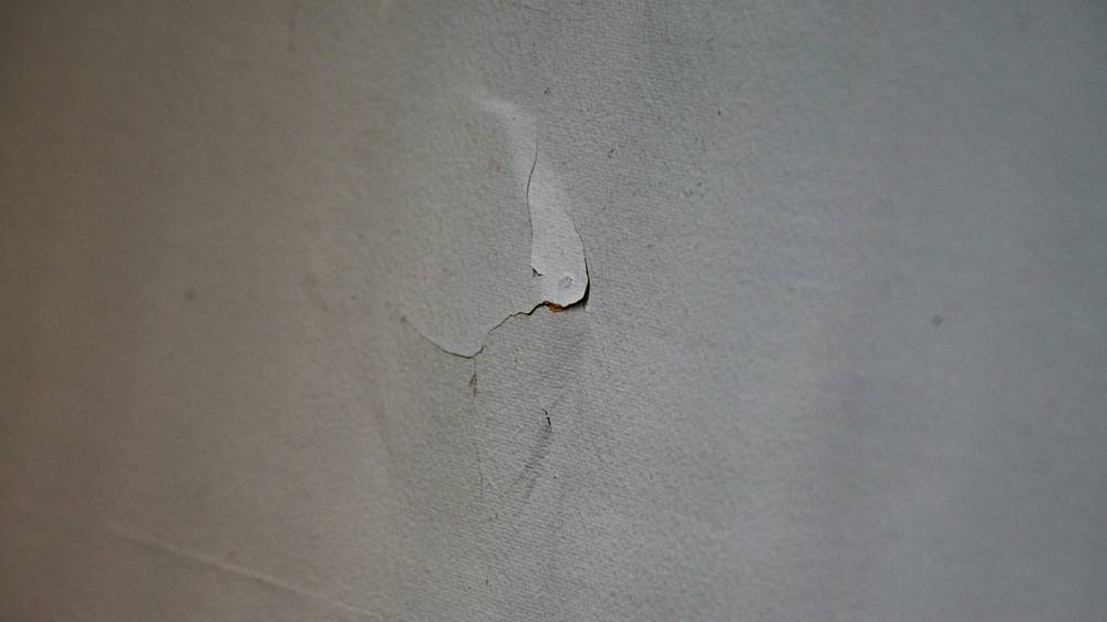 Tenant documenting mold growth on apartment bathroom wall for repair request